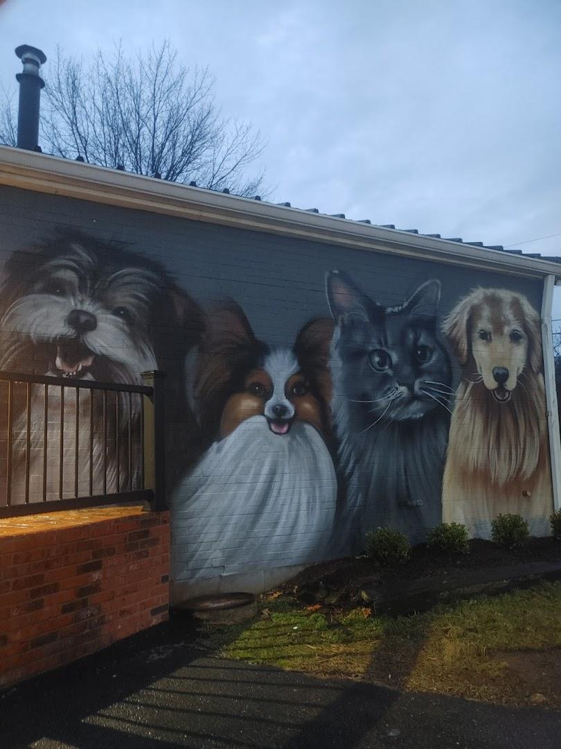 Paw and Plate